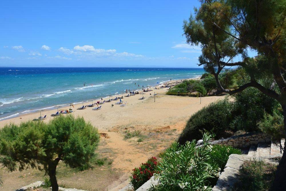 Stamiris Beach Hotel Vasilikí Екстериор снимка